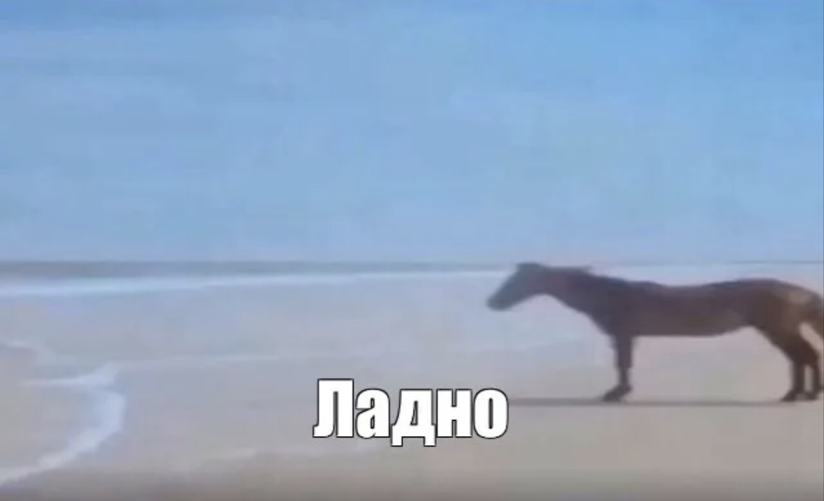 Аватар Robert